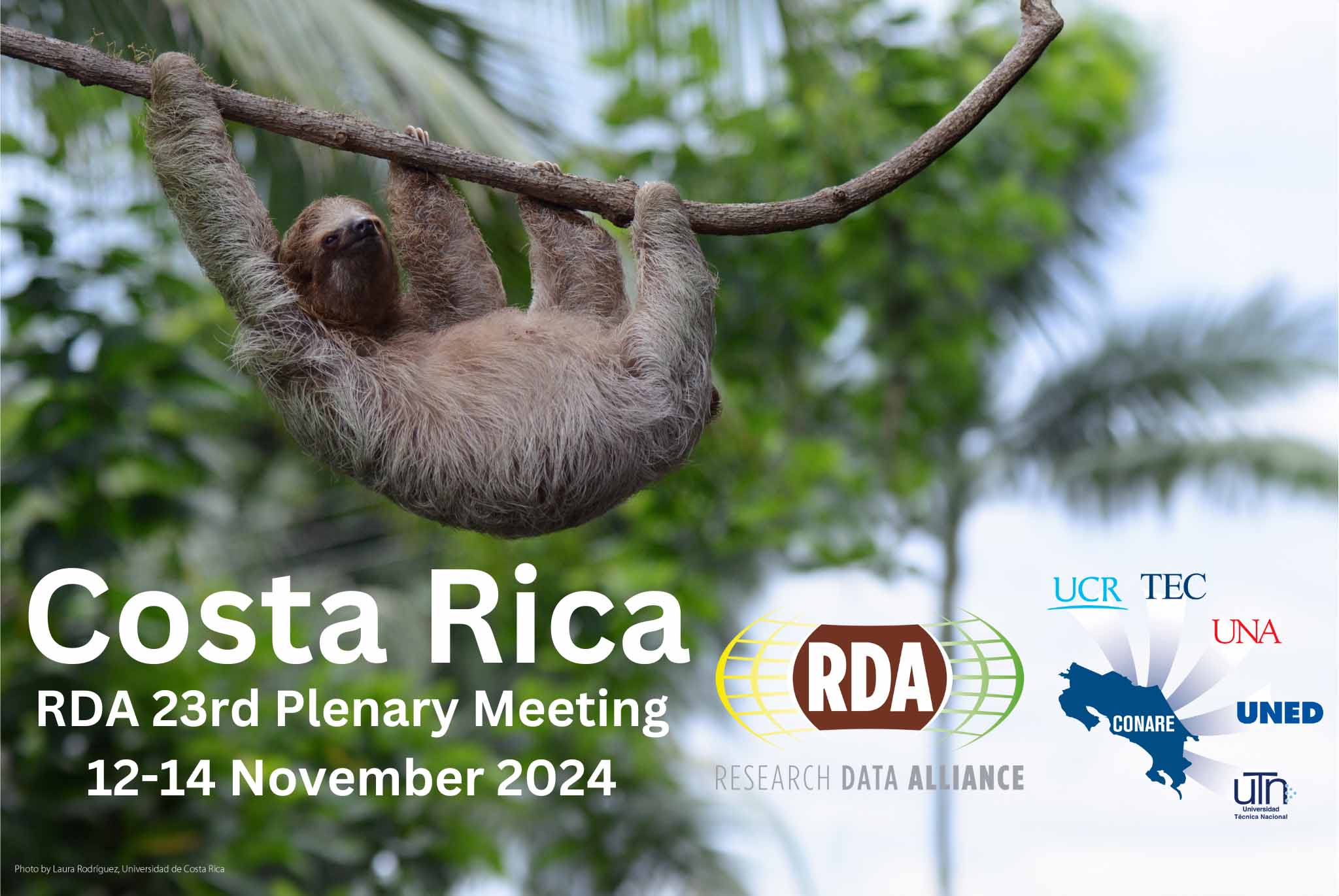 A image of a sloth to enhance the RDA 23rd Plenary meeting in Costa Rica